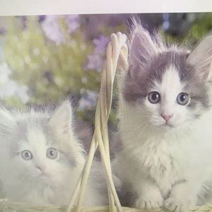 Meet your Posher, Faith